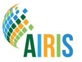 AIRIS-logo